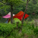 Choosing Campground
