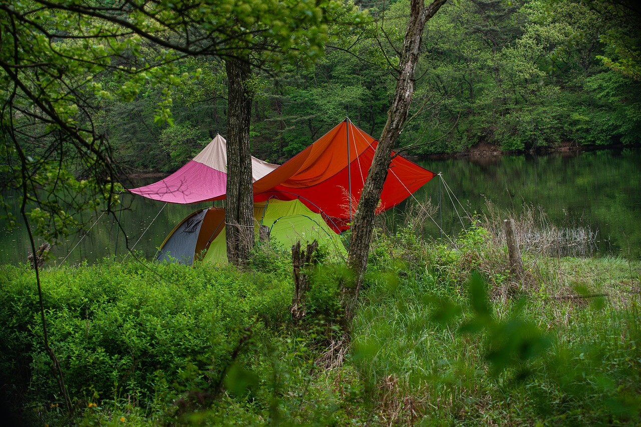 Choosing Campground