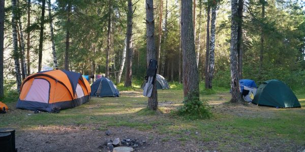 What to Consider When Choosing a Campsite
