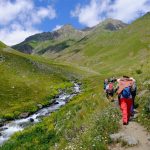 Hiking Activity
