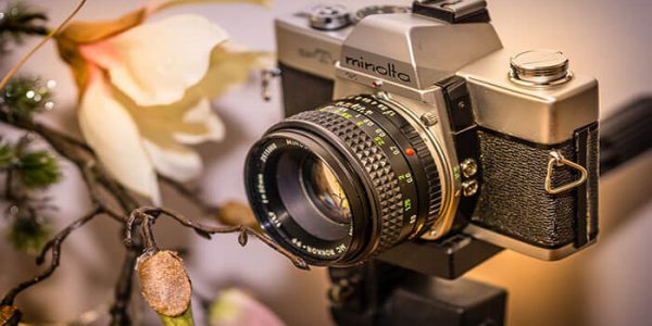 Photographing Flowers