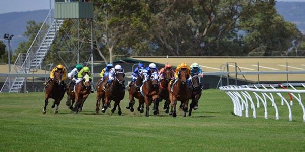 Are You Ready for Some Horse Racing Action?