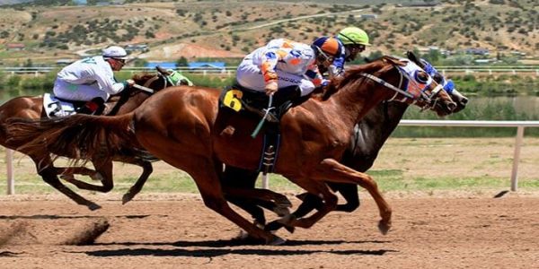 Horse Racing Throughout the History