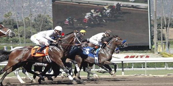 Why People Look for Horse Racing Videos