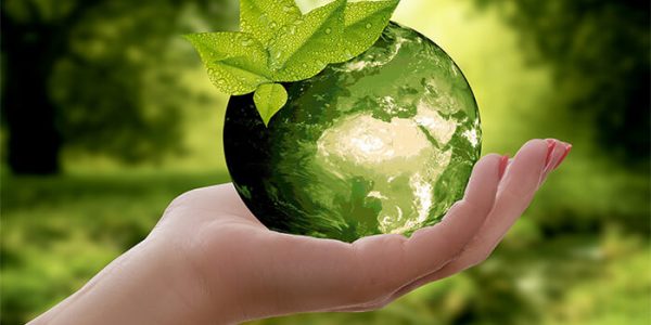 Recycling To Keep Our Planet Healthy