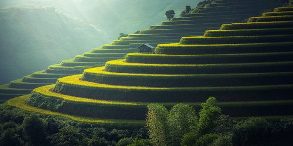 How Does It Benefit the Agricultural Sector